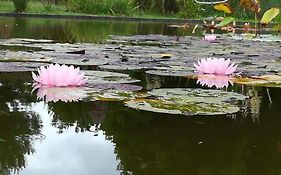 Las Rosas